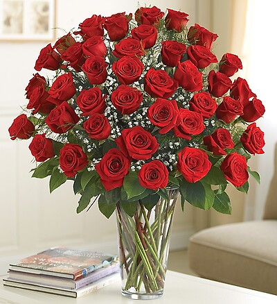 Ultimate Eleganceâ?¢  Premium Long Stem Red Roses