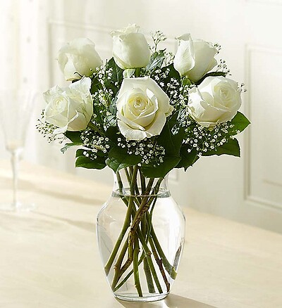 Love&#039;s Embrace™ Roses – White