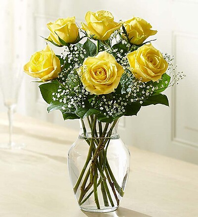 Love&#039;s Embrace™ Roses – Yellow