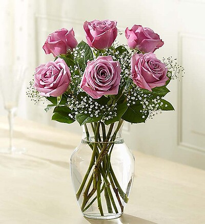 Love&#039;s Embrace™ Roses – Purple