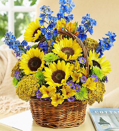 Fields of Europe&amp;trade; for Summer Basket
